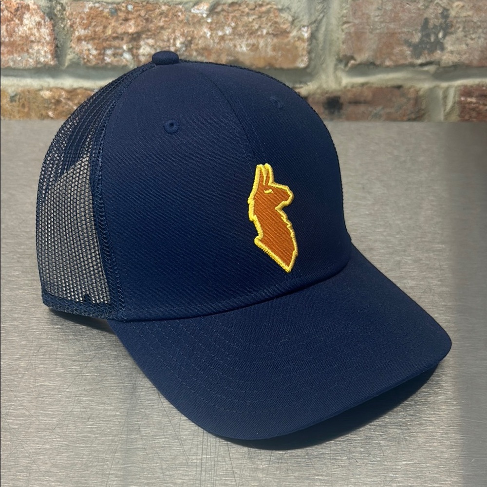 Cotopaxi Blue and Yellow Trucker Hat with Mesh Back